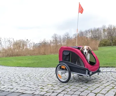 Trixie hondenfietskar kleine rassen zwart/rood 60 x 53 x 60 cm – tot 15 kg - Afbeelding 7