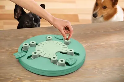 Nina Ottosson Dog Worker 34,5 x 34,5 x 5 cm – composiet, mintgroen - Afbeelding 6