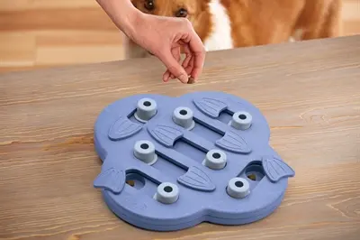 Nina Ottosson Dog Hide N Slide 33 x 33 x 5 cm – hondenpuzzel met schuifjes - Afbeelding 6