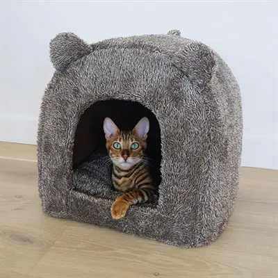 40 Winks kattenmand iglo Teddy bruin 38 x 38 x 40 cm – pluche - Afbeelding 4