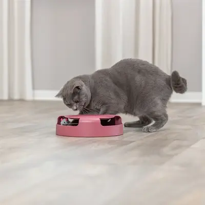 Trixie Catch the Mouse kattenspeeltje met krabvlak 25 x 6 cm – 2 stuks - Afbeelding 9