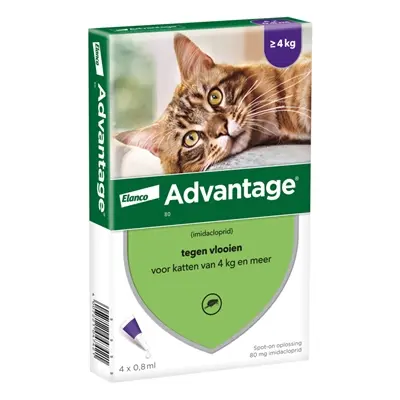 Elanco Advantage kat 80 mg spot-on 4 pipetten – katten vanaf 4 kg