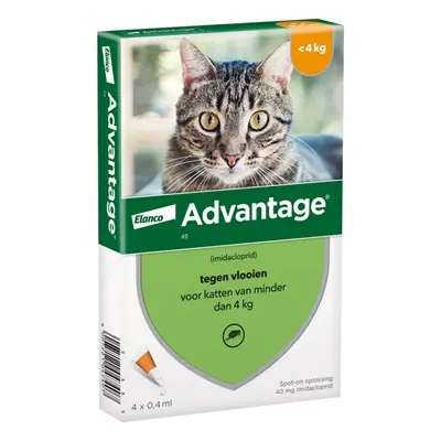 Elanco Advantage spot-on kat vanaf 4 kg 0,8 ml – 4 pipetten