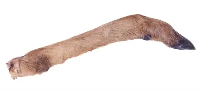 Petsnack reeënpoot met haar 7 stuks – kluifsnack voor honden - Afbeelding 4