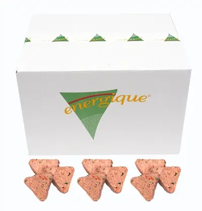Energique Puur Eend hondenvoer 12 kg – hypoallergene vleesmaaltijd