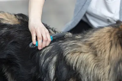 Trixie vachtontvilter gebogen tanden 18 cm – voor honden met lang haar - Afbeelding 6