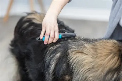 Trixie vachtontvilter gebogen tanden 18 cm – voor honden met lang haar - Afbeelding 7