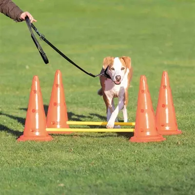 Trixie Dog Activity hordenset 3 stuks – 6 pionnen, verstelbaar - Afbeelding 4