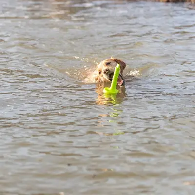 Trixie Dog Activity Mot-Aqua apporteerdobber limegroen 29 cm – drijvend - Afbeelding 5