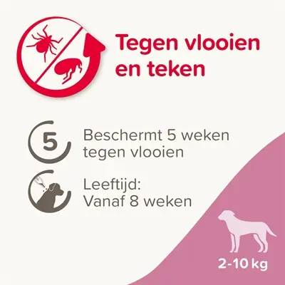 Beaphar Fiprotec spot-on hond 2-10 kg – vlooien en teken, 3+1 pipetten - Afbeelding 6