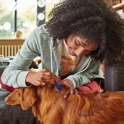 Beaphar Fiprotec spot-on hond 2-10 kg – vlooien en teken, 3+1 pipetten - Afbeelding 8