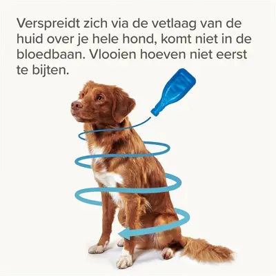 Beaphar Fiprotec spot-on hond 2-10 kg – vlooien en teken, 3+1 pipetten - Afbeelding 9