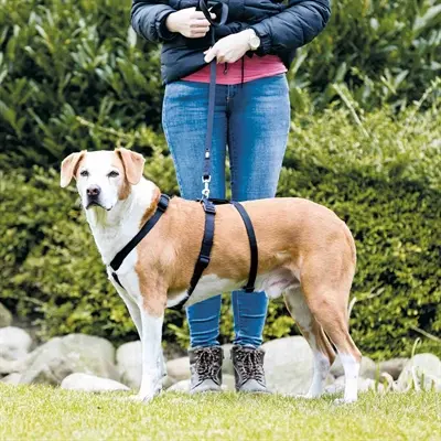 Trixie stay-tuig zwart L-XL 75-100 cm – met tailleriem - Afbeelding 4