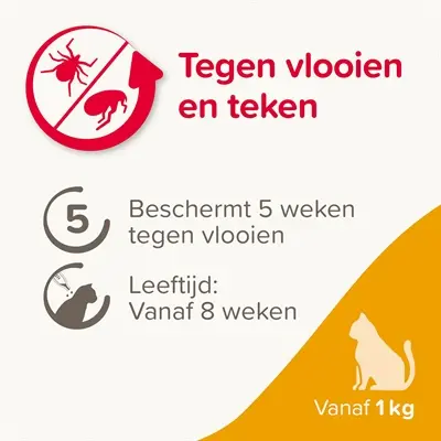 Beaphar Fiprotec kat 3+1 pipetten – tegen vlooien en teken, vanaf 1 kg - Afbeelding 6