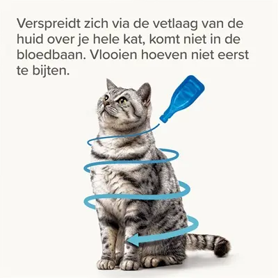 Beaphar Fiprotec kat 3+1 pipetten – tegen vlooien en teken, vanaf 1 kg - Afbeelding 9