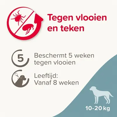Beaphar Fiprotec spot-on hond 10-20 kg – vlooien en teken, 3+1 pipetten - Afbeelding 6