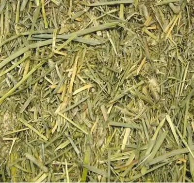 Beaphar timothyhooi 1 kg – voor konijnen en knaagdieren - Afbeelding 4
