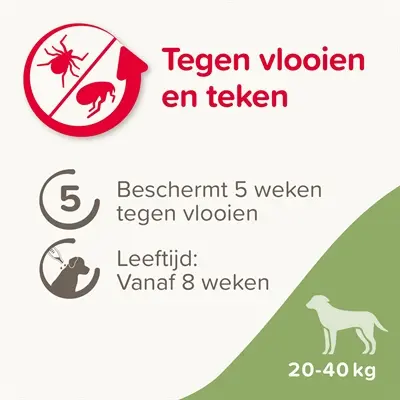 Beaphar Fiprotec spot-on hond 20-40 kg – vlooien en teken, 3+1 pipetten - Afbeelding 6