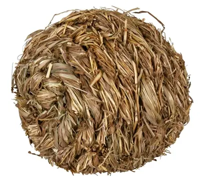 Trixie grasbal met bel 10 x 10 x 10 cm – voor cavia's en konijnen