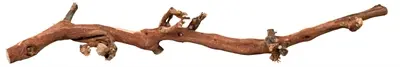 Trixie druiventakken 40-60 cm – 5 stuks, voor terrarium en kooi