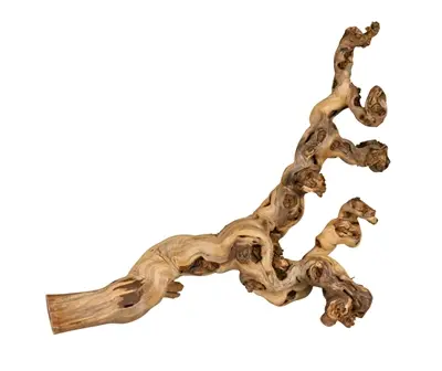 Trixie druiventakken 55-80 cm – 5 stuks, voor terrarium en kooi