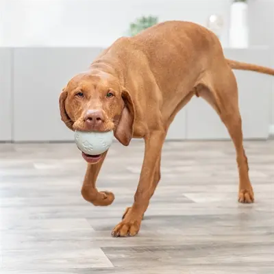 Trixie snackbal rubber grijs 9 cm – labyrint - Afbeelding 5