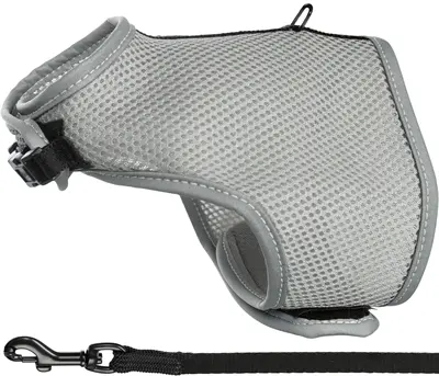 Trixie kattentuig Soft met riem assorti 24-42 cm x 1,2 m – reflecterend - Afbeelding 4