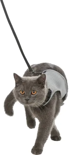 Trixie kattentuig Soft met riem assorti 24-42 cm x 1,2 m – reflecterend - Afbeelding 9