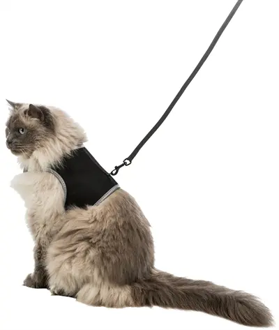 Trixie kattentuig Soft met riem assorti 24-42 cm x 1,2 m – reflecterend - Afbeelding 10
