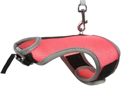 Trixie tuig voor knaagdieren met riem assorti 25-32 cm x 1,2 m - Afbeelding 5