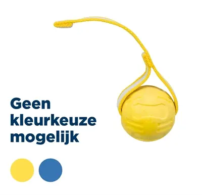 Trixie voetbal aan lint TPR 6 x 6 x 20 cm – drijvend hondenspeelgoed