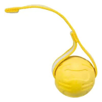 Trixie voetbal aan lint TPR 6 x 6 x 20 cm – drijvend hondenspeelgoed - Afbeelding 4