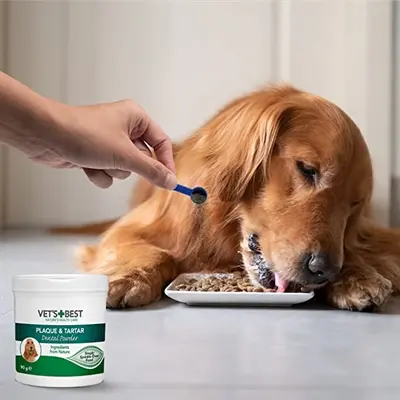 Vet's Best Advanced Dental Powder hond 90 g – tandenreiniger - Afbeelding 4