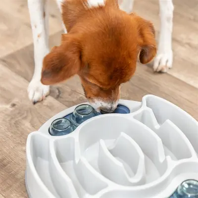 Trixie Dog Activity Slide & Feed 30 x 27 cm – intelligentiespel - Afbeelding 8