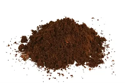 Trixie Reptiland kokosvezel (cocopeat) 9 liter – bodembedekking - Afbeelding 5