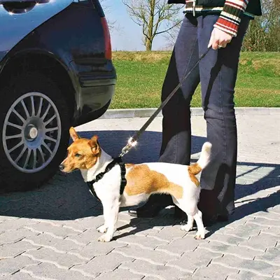 Trixie hondentuig auto zwart 20-50 cm – inclusief autogordel - Afbeelding 4