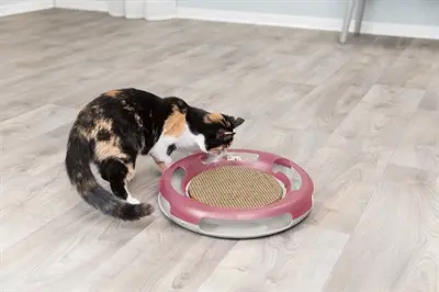 Trixie kattenspeelgoed Race & Scratch speelbaan 37 cm – met krabkarton - Afbeelding 9