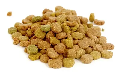 I Am kattensnoep rund 70 g – in hersluitbaar potje - Afbeelding 5