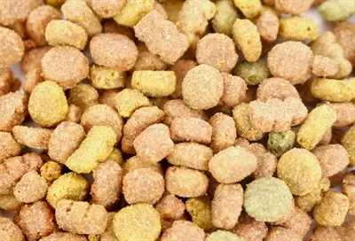 I Am kattensnoep rund 70 g – in hersluitbaar potje - Afbeelding 6