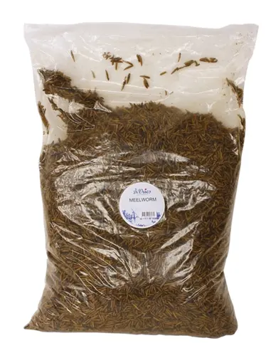 De Vries Black Soldier Fly meelwormen 5 kg – gedroogd, eiwitrijk