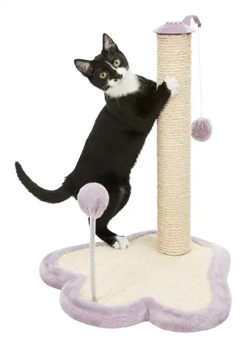 Trixie Junior krabpaal Poot lila 40 x 38 x 50 cm – voor kittens - Afbeelding 7