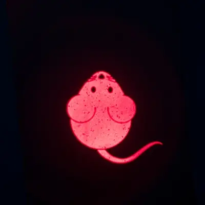Trixie laserspeelgoed Catch The Light muis 8,5 cm – USB-oplaadbaar - Afbeelding 6