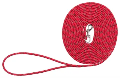 Trixie Junior sleeplijn rood 4 mm x 4 m – rond nylon, met handlus - Afbeelding 5