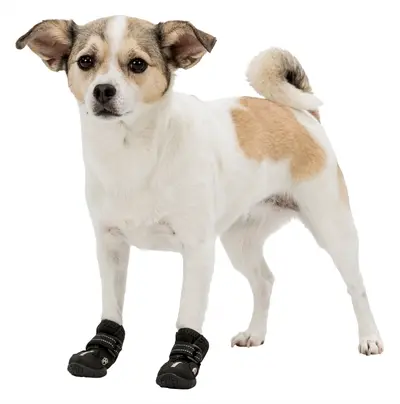 Trixie pootbescherming Walker Active zwart XS-S – hondenschoenen, 2 stuks - Afbeelding 10