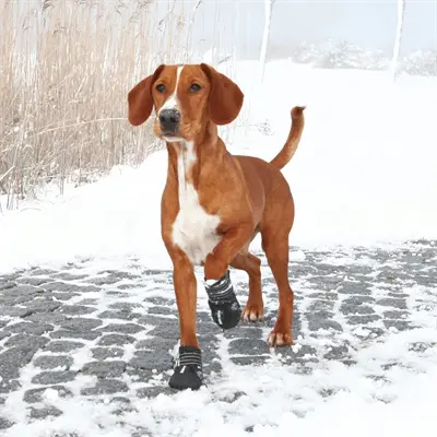 Trixie pootbescherming Walker Active zwart M – hondenschoenen, 2 stuks - Afbeelding 11