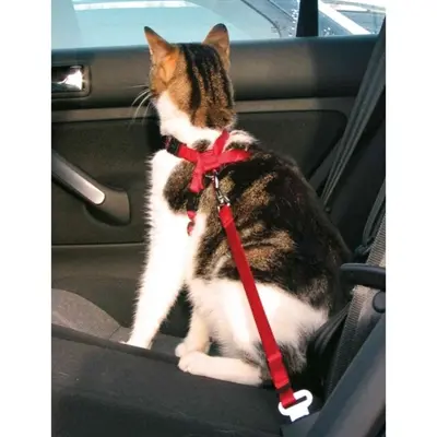 Trixie kattentuig voor in de auto rood 20-50 x 1,5 cm - Afbeelding 11