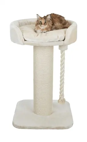 Trixie krabpaal Klara XXL crème 60 x 60 x 100 cm – voor grote katten - Afbeelding 4