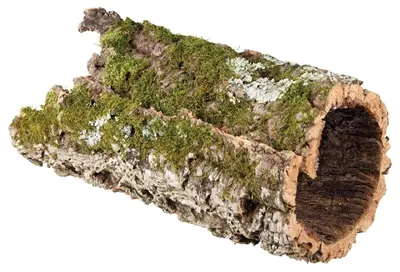 Trixie Reptiland kurktunnel 75 x 30 x 30 cm – natuurlijke schuilplaats