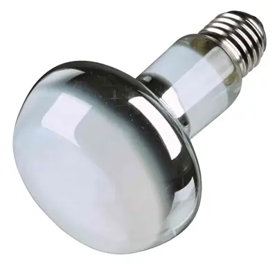 Trixie Reptiland warmtelamp 100 W E27 – infrarood en UVA - Afbeelding 2