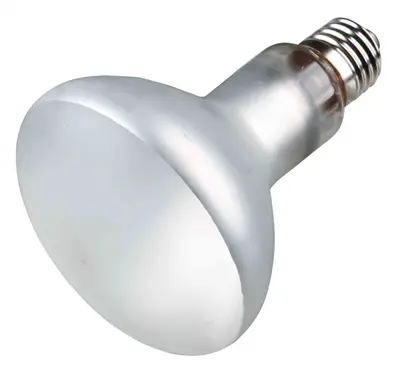 Trixie Reptiland Prosun Mixed D3 UV-B lamp 100 W – zelfstartend, E27 - Afbeelding 4